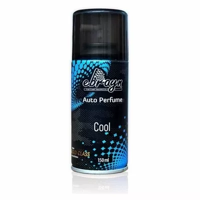 EBRAYN AEROSOL OTO PARFÜM SPRAY 150ML
